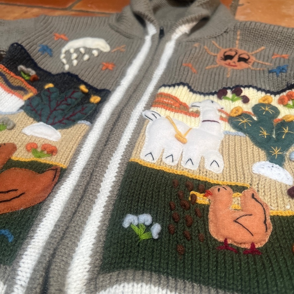 Kids Handmade Peruvian Sweater Full Zip Hood Embroidery Felt Appliqué Animals - Picture 2 of 5